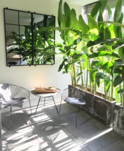 Garden mirror on balcony