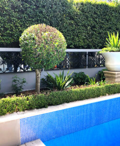 Rivas Design garden mirror 3 tile design horizontal