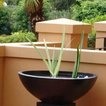 Water bowl in courtyard