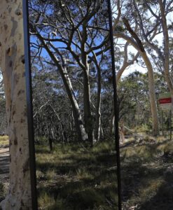 Iron framed mirror designed to be outdoors