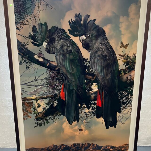 We picked up a fabulous new artwork for our studio at The Micheal Reid gallery in Berrima yesterday. This stunning composite photo by Joseph McGlennon called Awakening#3 Red Ridge.
What a fantastic little historic town, Berrima is to visit.