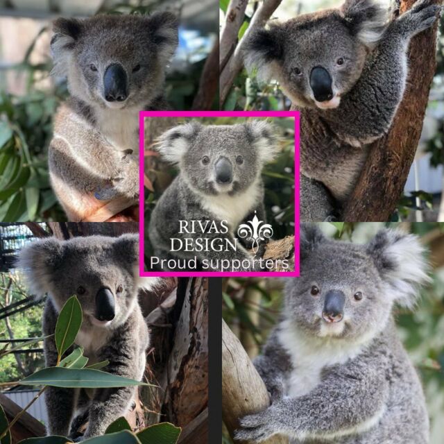 We couldn’t resist sponsoring these beautiful creatures 🥰  #outdoormirrors #outdoormirrorsbyrivasdesign #gorgeousgardens