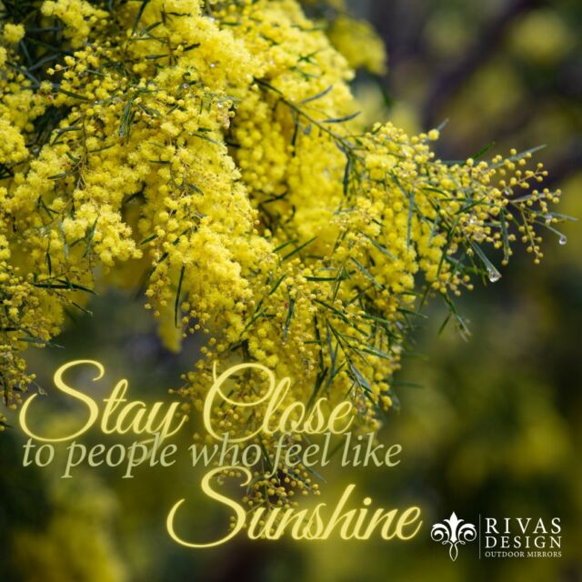 It's a perfect day for it. Whatever you are up to.⁠
#landscapedesign #outdoormirrors #stylingooutdoorspaces